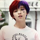 정하 Daum카페