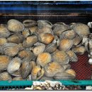 한산조개구이 이미지