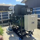 거니양돈 이미지