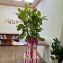 더쌤수학전문학원