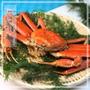 대게나라 이미지