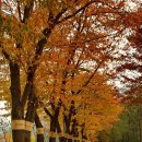 침벽공원 이미지