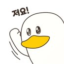 포케올데이대전 이미지