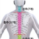 와이짐 이미지