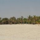 비치파크 이미지