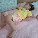 상어가족 인형뽑기 이미지