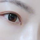 투베러 네이버블로그