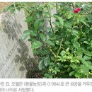 아서농장 이미지