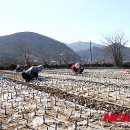 (주)들녘 이미지