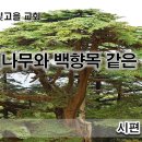 8월 29일(화) 종려나무와 백향목 같은 성도 이미지