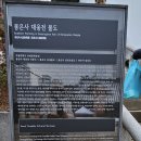 봉은사대웅전신중도 이미지