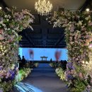 더10월 | wedding 1_여의도 더파티움 상담 후기 26년 10월 예식(견적공유O, 계약x)