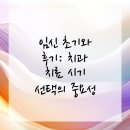 삼부치과의원 | 임신 중 치과 치료, 무작정 피하지 마세요!