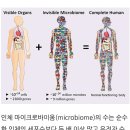 신마 이미지