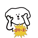 셀독풍암점 이미지