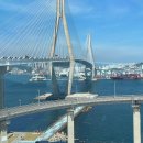 레드라인 | 부산시티투어버스 부산역 타는곳 광안리 레드라인 후기 꿀팁