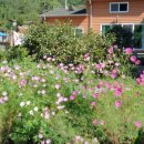 열매몬테소리어린이집 이미지