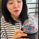 하오하개 이미지