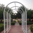 정동진놀자 이미지