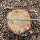 은평-040 이미지