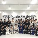 칼슨그레이시 코리아 이미지