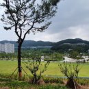 율하2지구_모산공원산책로 네이버블로그