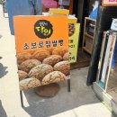 이바루트 이미지