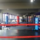 탑권투체육관 이미지