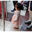 목마송이 이미지