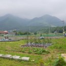 반해버린농장 이미지