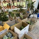 송보농장 이미지