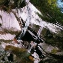 부영냉동 이미지