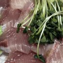 대포항회집 이미지