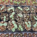 홍천군 농업기술센터 동부지소 이미지