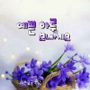예쁜하루 이미지