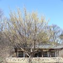 조선왕릉 파주 온릉 답사 이미지