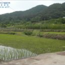 구산면518 이미지