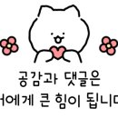 나인즈베이크 이미지