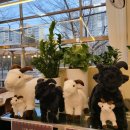 동송프라자 이미지