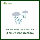 비내리는 제주에서 가볼만한 곳 ☆ 이미지