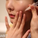 스킨헤빗