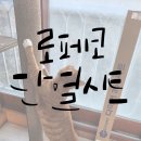 호호점빵앤캘리
