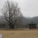 신안사로 이미지