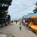 바이크오케이 | 🌊하나개해수욕장 조개잡이 🐚꿀팁! 많이 나오는 포인트부터 준비물·체험 후기까지✨