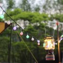 화이트브릭 - 고양시 일산동구 경의로 577-49 | 화이트브릭