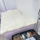 손이예쁜날