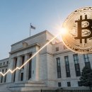 신화BTC