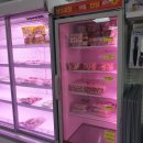 NR-7[동해대로]-하-51 | 동해 오션뷰 숙소 추천 망상오토캠핑리조트 2박3일 후기(feat.주변 관광지 공유)