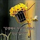 산그린