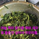 꿀벌주유소 이미지